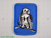 Click to enlarge Owl